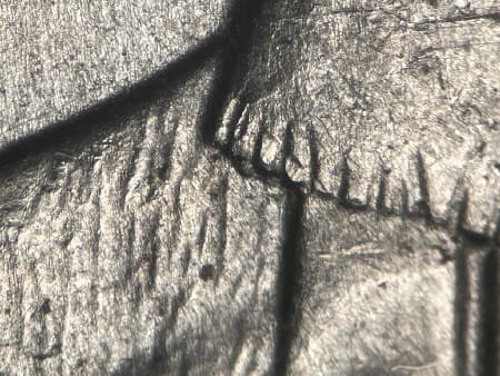 2016 Doubled Die Reverse WDDR-016