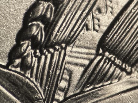 2024 Doubled Die Reverse WDDR-010