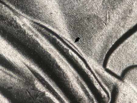 2025 Doubled Die Reverse WDDR-001