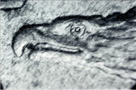 1857 Doubled Die Obverse WDDO-003