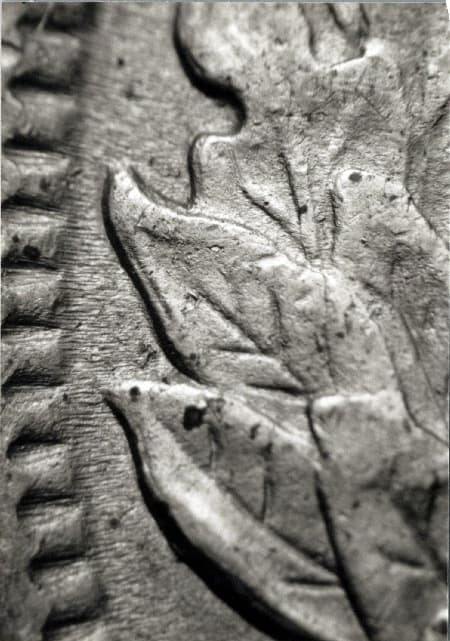 1889 Doubled Die Reverse WDDR-001