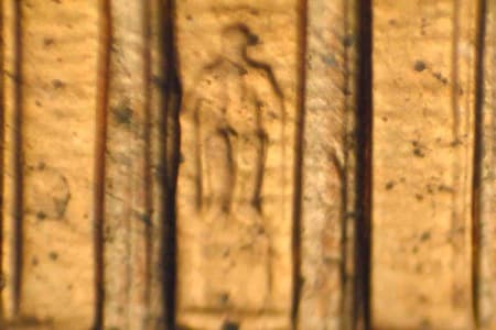 1996-D Doubled Die Reverse WDDR-008