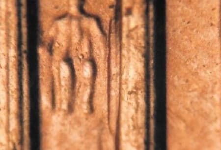1999-D Doubled Die Reverse WDDR-003