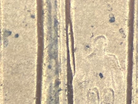 1999 Doubled Die Reverse WDDR-038