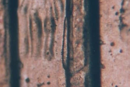 1999 Doubled Die Reverse WDDR-043