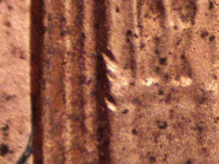 2000 Doubled Die Reverse WDDR-046