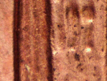 2000 Doubled Die Reverse WDDR-049