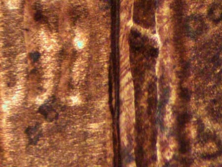2000 Doubled Die Reverse WDDR-097