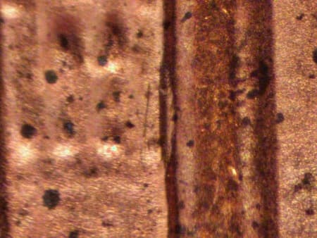 2000 Doubled Die Reverse WDDR-099