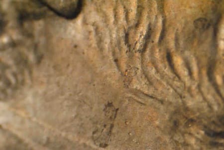 2002 Doubled Die Obverse WDDO-002