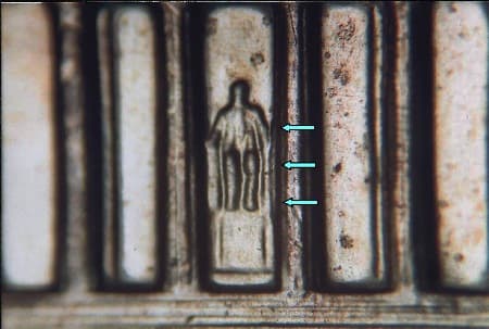 2008 Doubled Die Reverse WDDR-004