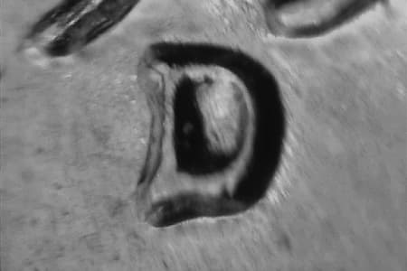 1959-D Repunched Mintmark WRPM-017