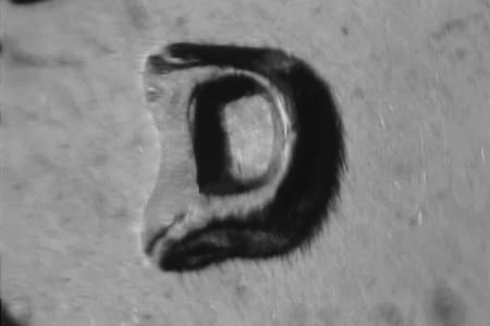 1959-D Repunched Mintmark WRPM-020