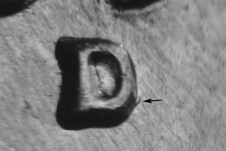 1959-D Repunched Mintmark WRPM-030
