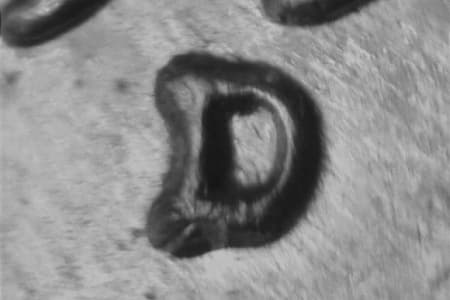 1959-D Repunched Mintmark WRPM-060