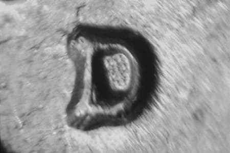 1959-D Repunched Mintmark WRPM-061