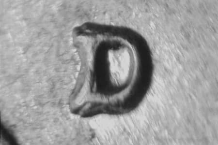 1959-D Repunched Mintmark WRPM-069