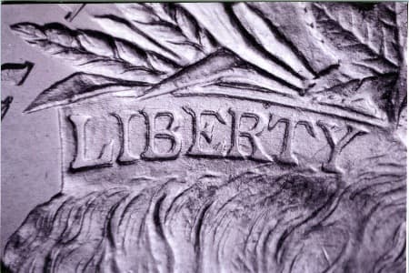 1878 Doubled Die Obverse WDDO-008