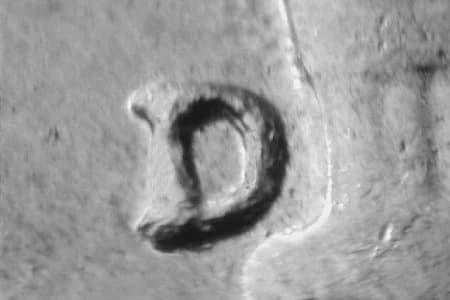 1946-D Repunched Mintmark WRPM-025