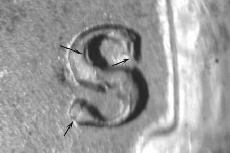 1946-S Repunched Mintmark WRPM-022
