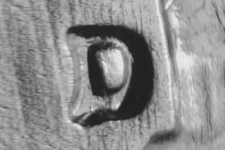 1961-D Repunched Mintmark WRPM-009
