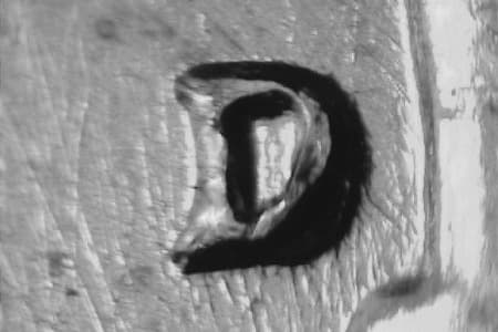 1964-D Repunched Mintmark WRPM-012