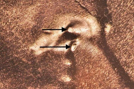 2025 Doubled Die Obverse WDDO-001