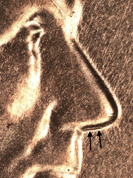 2025 Doubled Die Obverse WDDO-011