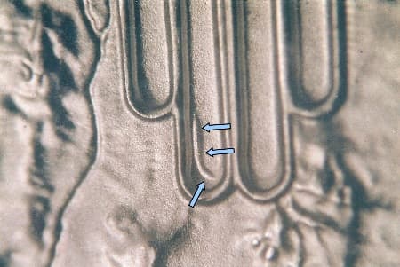2008-D Doubled Die Reverse WDDR-001