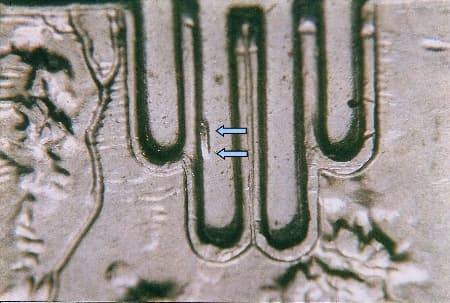 2008 Doubled Die Reverse WDDR-003