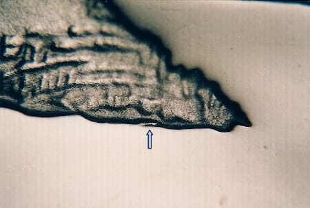 2005-S Doubled Die Reverse WDDR-010