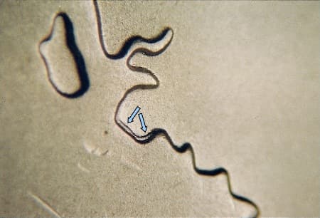 2007 Doubled Die Reverse WDDR-015