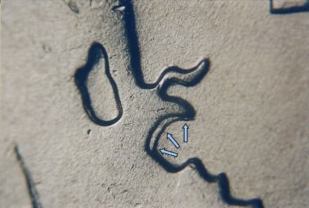 2007 Doubled Die Reverse WDDR-002