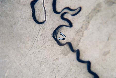 2007 Doubled Die Reverse WDDR-012