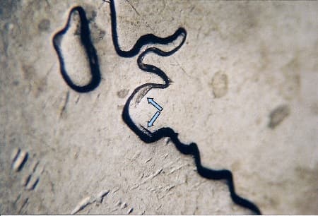 2007 Doubled Die Reverse WDDR-013