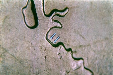 2007 Doubled Die Reverse WDDR-040