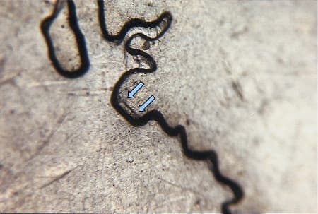 2007 Doubled Die Reverse WDDR-056