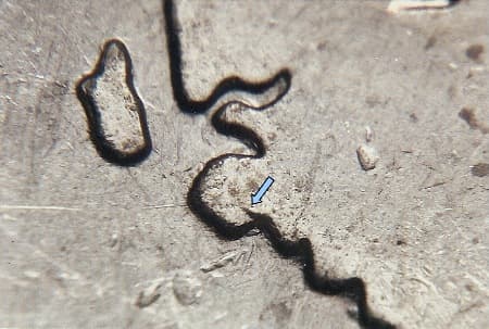 2007 Doubled Die Reverse WDDR-059