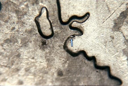 2007 Doubled Die Reverse WDDR-061