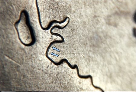 2007 Doubled Die Reverse WDDR-062