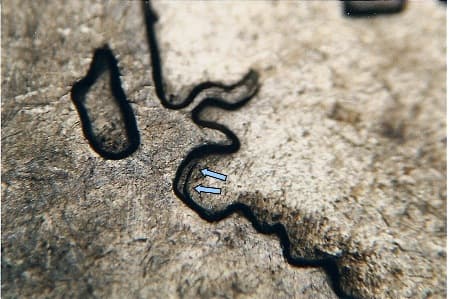 2007 Doubled Die Reverse WDDR-064