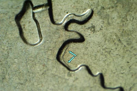 2007 Doubled Die Reverse WDDR-071