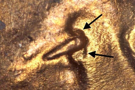 1935 Doubled Die Obverse WDDO-007