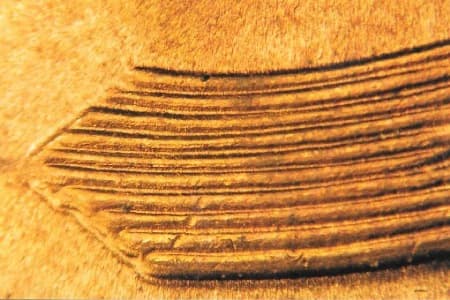 1936-D Doubled Die Reverse WDDR-001
