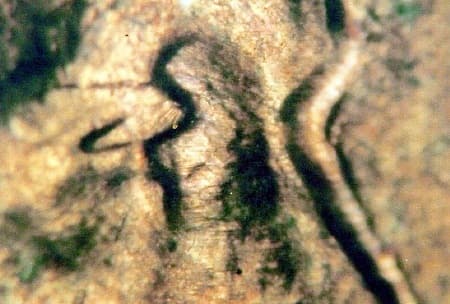 1937-S Doubled Die Obverse WDDO-002
