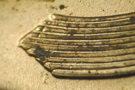 1937 Doubled Die Reverse WDDR-002