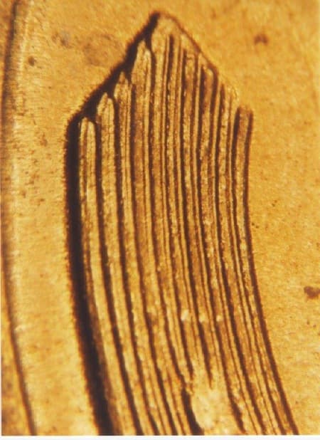 1938-D Doubled Die Reverse WDDR-002
