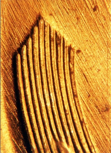 1939 Doubled Die Reverse WDDR-010