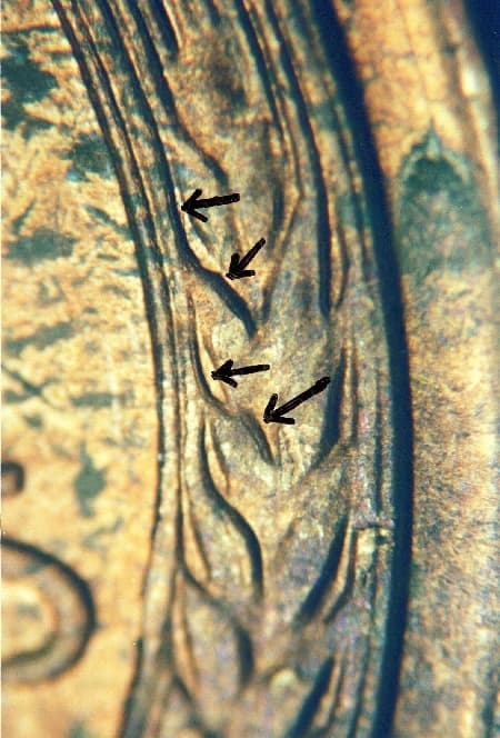 1942-D Doubled Die Reverse WDDR-003