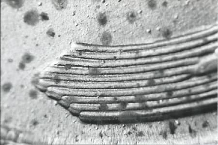 1943-D Doubled Die Reverse WDDR-008